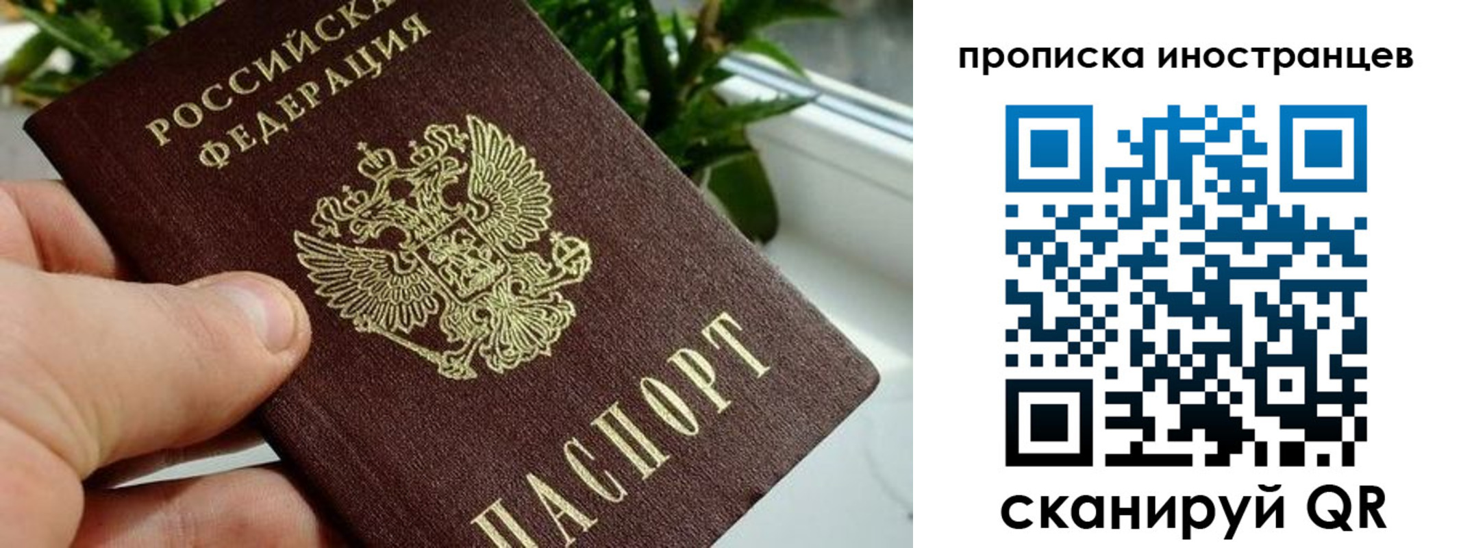 временная регистрация в Белой Калитве
